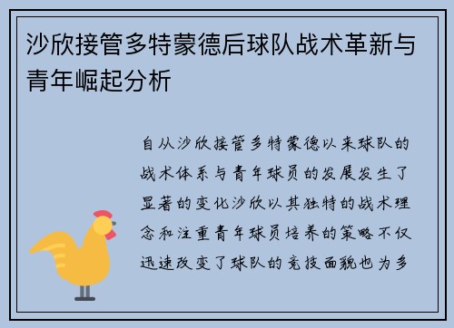 沙欣接管多特蒙德后球队战术革新与青年崛起分析 沙欣接管多特蒙德后球队战术革新与青年崛起分析